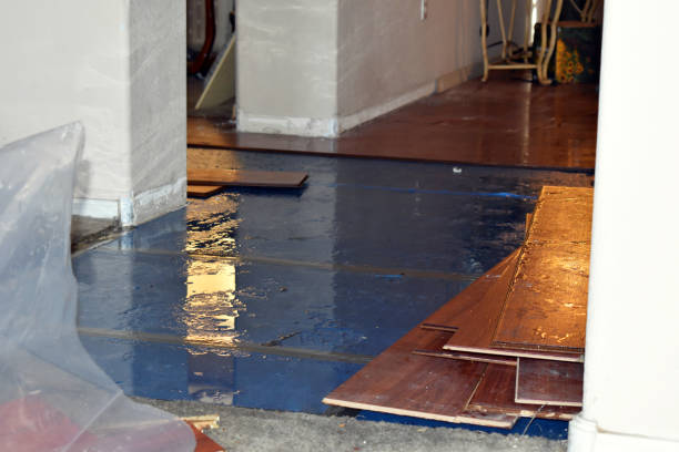 Professional Water Damage Restoration technician working in Smiley, TX